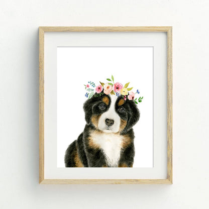 Bernese Mountain with Flower Crown